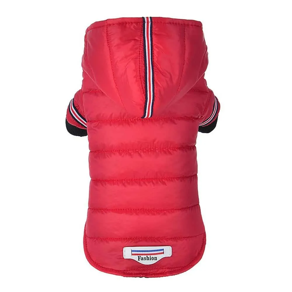 Winter Warm Jacket for Dogs